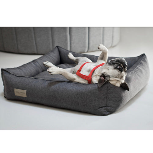 Cama Bowl and Bone Urban | ARISTOPET