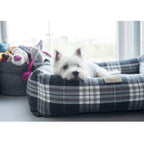cama para perro cuadros