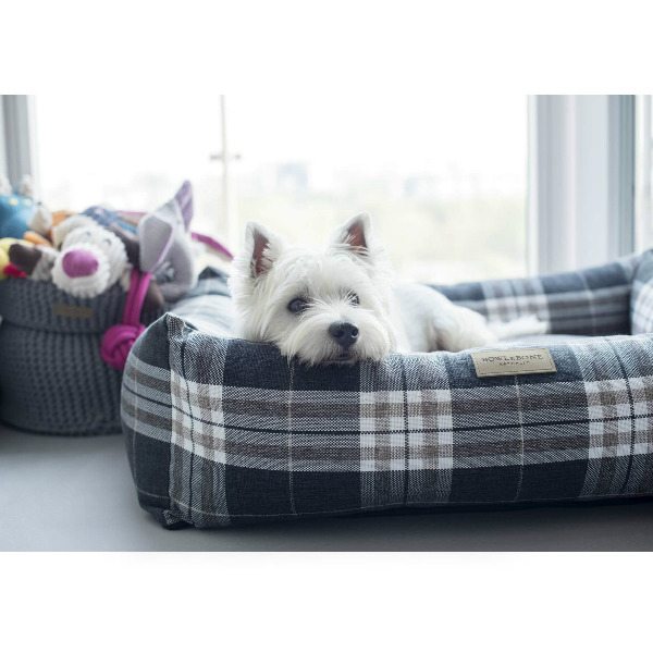 cama para perro cuadros