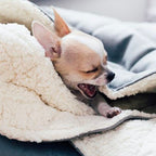 Saco de dormir DREAMY Bowl and Bone | ARISTOPET