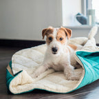 Saco de dormir DREAMY Bowl and Bone | ARISTOPET