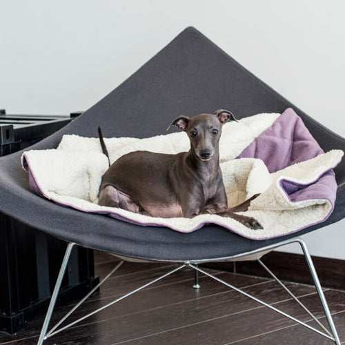 Saco de dormir DREAMY Bowl and Bone | ARISTOPET