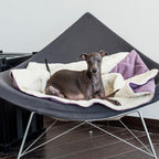 Saco de dormir DREAMY Bowl and Bone | ARISTOPET