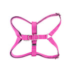 Arnés para perros ACTIVE Bowl and Bone | ARISTOPET
