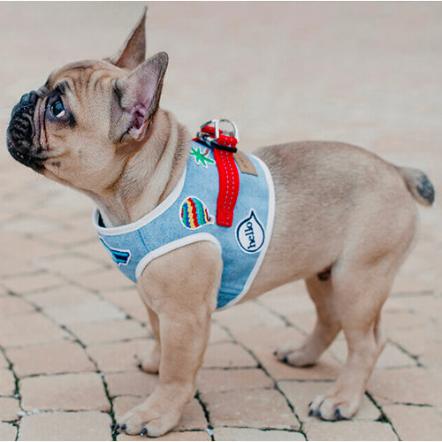 Arnés Para Perro Denim Bowl and Bone | ARISTOPET