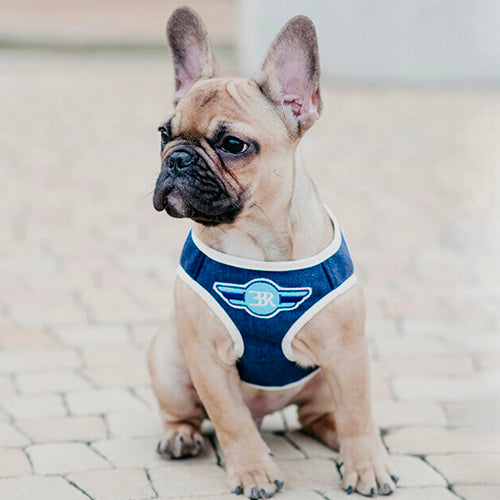 Arnés Para Perro Denim Bowl and Bone | ARISTOPET
