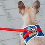 Arnés Para Perro Denim Bowl and Bone | ARISTOPET