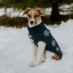 Jersey Bowl and Bone Snowflake | ARISTOPET