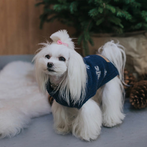 Jersey Bowl and Bone Snowflake | ARISTOPET