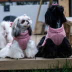 Jersey Bowl and Bone Aspen | ARISTOPET