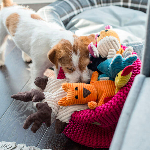 Peluche para Perro FELIX Bowl and Bone | ARISTOPET