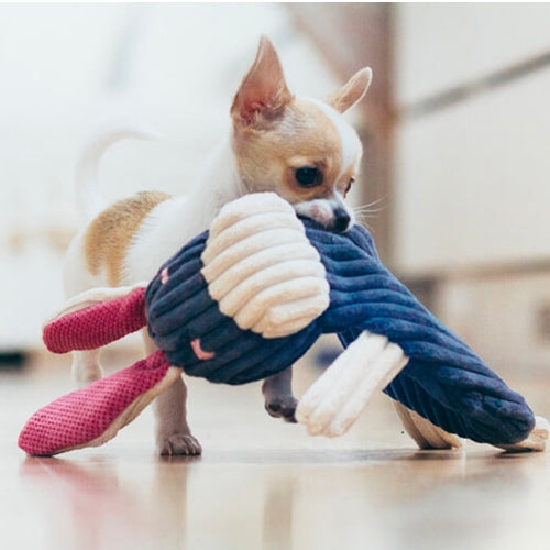 Peluche para Perro REX Bowl and Bone | ARISTOPET