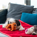 Peluche para Perro TOFFI Bowl and Bone | ARISTOPET