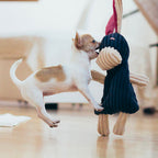Peluche para Perro REX Bowl and Bone | ARISTOPET