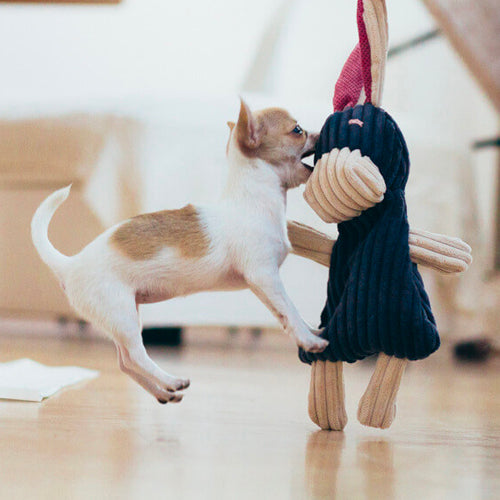 Peluche para Perro REX Bowl and Bone | ARISTOPET