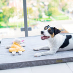 Peluche para Perro BAX Bowl and Bone | ARISTOPET