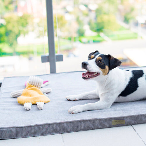 Peluche para Perro BAX Bowl and Bone | ARISTOPET