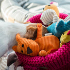 Peluche para perro BAX Bowl and Bone