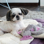 Peluche para Perro DUMBO Bowl and Bone | ARISTOPET
