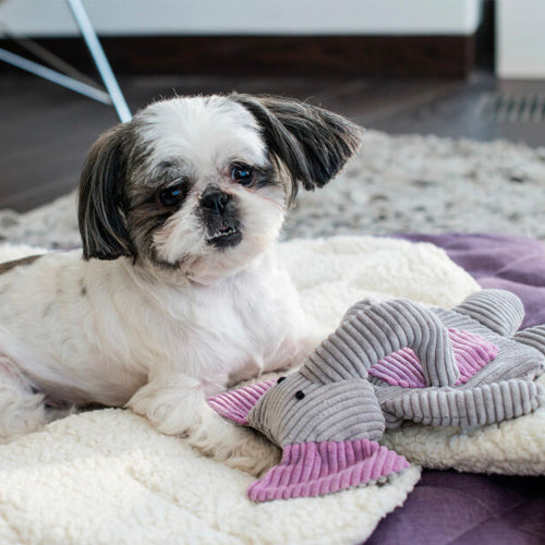 Peluche para Perro DUMBO Bowl and Bone | ARISTOPET