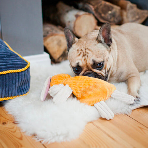 Peluche para Perro BAX Bowl and Bone | ARISTOPET