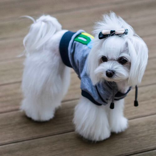 Sudadera YOLO Bowl and Bone