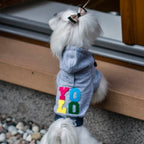 Sudadera YOLO Bowl and Bone