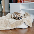 Manta Suave NAP Bowl and Bone Varios Colores | ARISTOPET