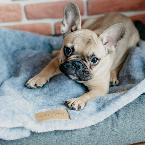 Manta Suave NAP Bowl and Bone Varios Colores | ARISTOPET
