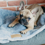 Manta Suave NAP Bowl and Bone Varios Colores | ARISTOPET