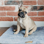 Manta Suave NAP Bowl and Bone Varios Colores | ARISTOPET