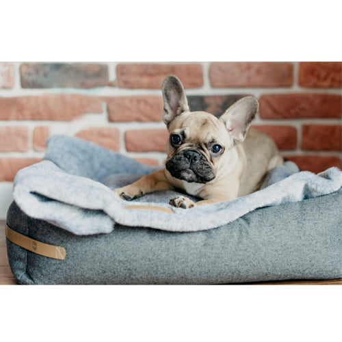 Manta Suave NAP Bowl and Bone | ARISTOPET