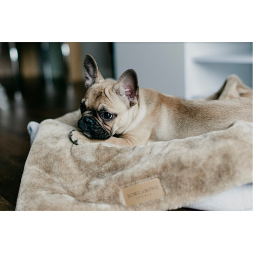 Manta Suave NAP Bowl and Bone | ARISTOPET