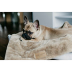 Manta Suave NAP Bowl and Bone | ARISTOPET