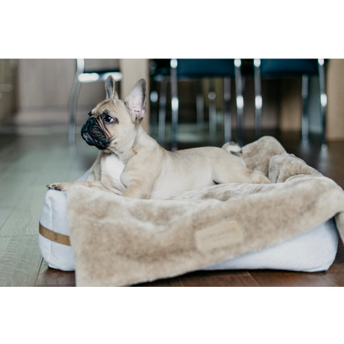 Manta Suave NAP Bowl and Bone | ARISTOPET