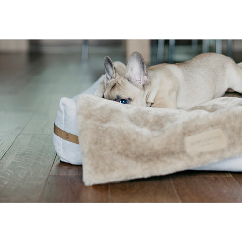 Manta Suave NAP Bowl and Bone | ARISTOPET