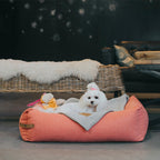 Cama Bowl and Bone LOFT | ARISTOPET