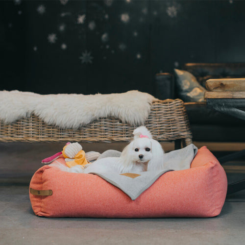Cama Bowl and Bone LOFT | ARISTOPET