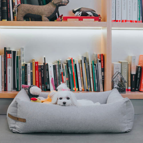 Cama Bowl and Bone LOFT | ARISTOPET
