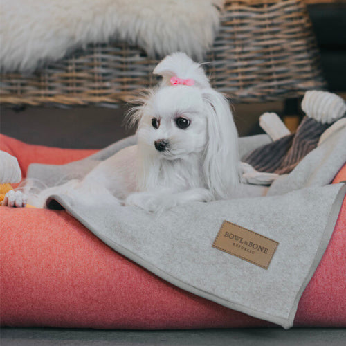 Cama Bowl and Bone LOFT | ARISTOPET