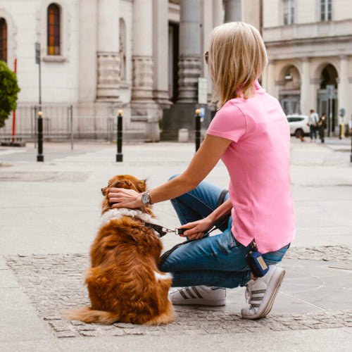 Dispensador de Bolsas MINI Bowl and Bone | ARISTOPET