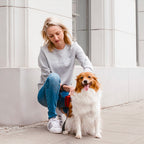 Dispensador de Bolsas MINI Bowl and Bone | ARISTOPET