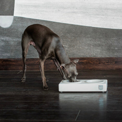 Comedero Bowl and Bone Duo Ceramic | ARISTOPET