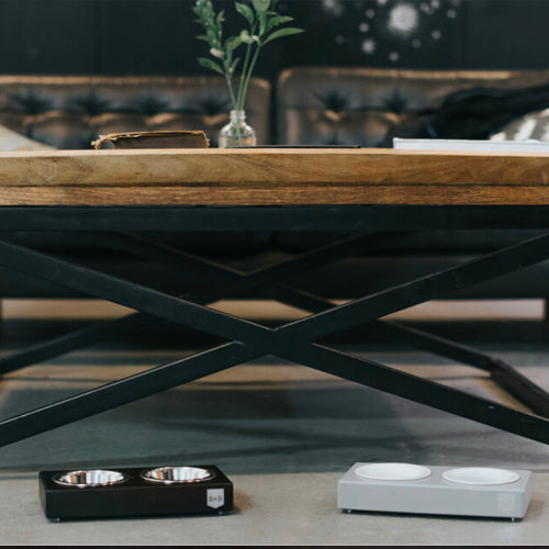 Comedero Bowl and Bone Duo Ceramic | ARISTOPET