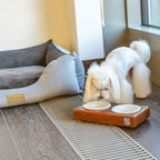 Comedero Bowl and Bone Duo Ceramic | ARISTOPET