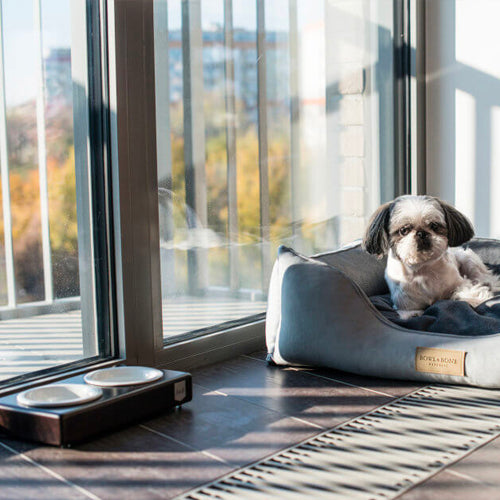 Comedero Bowl and Bone Duo Ceramic | ARISTOPET
