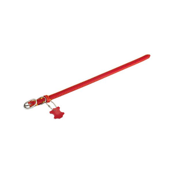 Collar piel liso rojo Arquivet