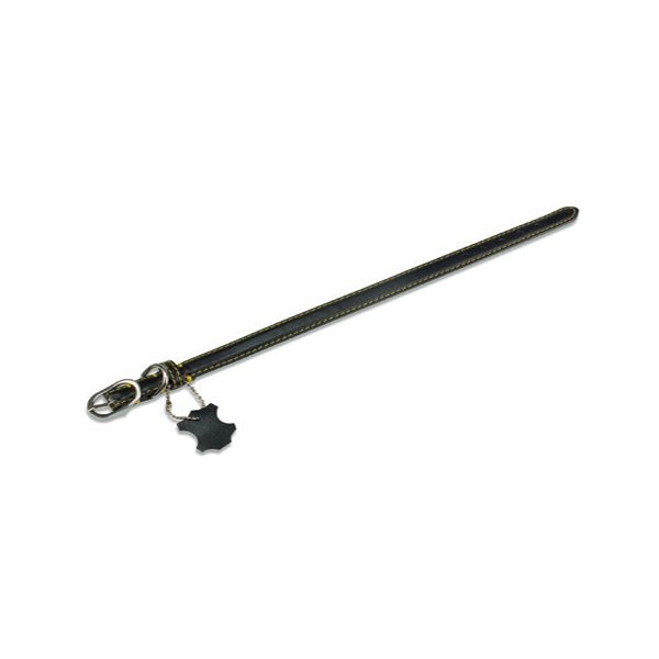 Collar piel liso negro Arquivet