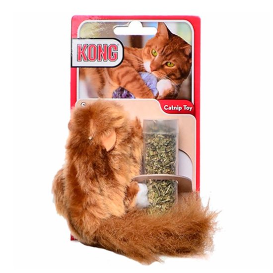 Dr. Noys Cat Squirrel