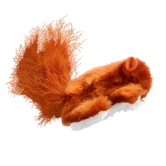 Dr. Noys Cat Squirrel